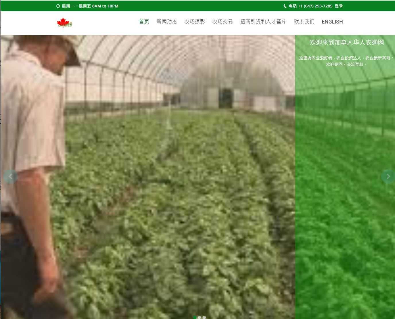 黄金赞助商 ： 加拿大华人农通网 cover image