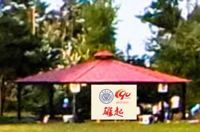 重庆大学加拿大校友会2019多伦多夏日聚会邀请 cover image